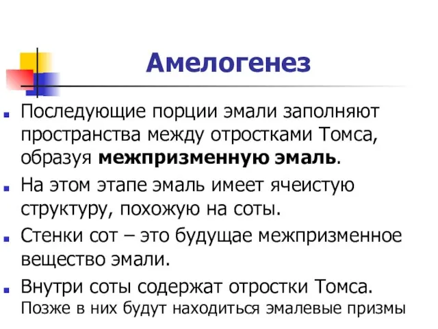 Амелогенез Последующие порции эмали заполняют пространства между отростками Томса, образуя межпризменную