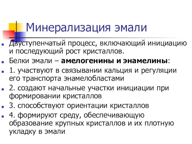 Минерализация эмали Двуступенчатый процесс, включающий инициацию и последующий рост кристаллов. Белки