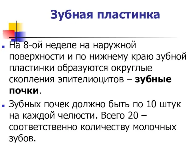 Зубная пластинка На 8-ой неделе на наружной поверхности и по нижнему