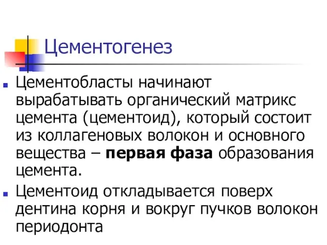 Цементогенез Цементобласты начинают вырабатывать органический матрикс цемента (цементоид), который состоит из