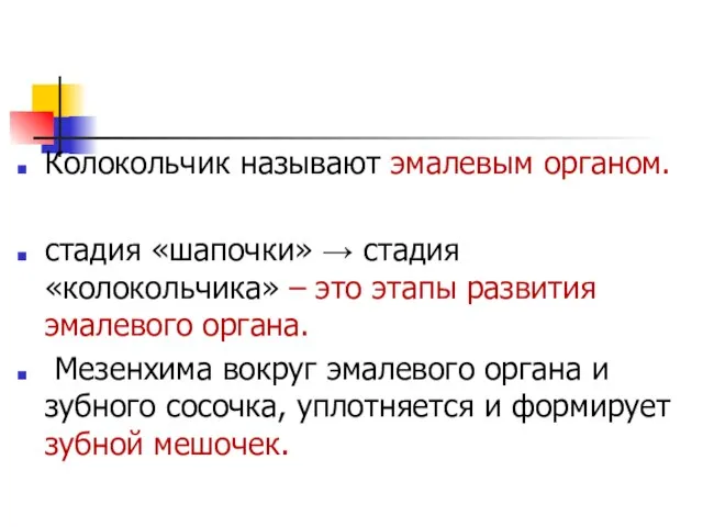 Колокольчик называют эмалевым органом. стадия «шапочки» → стадия «колокольчика» – это