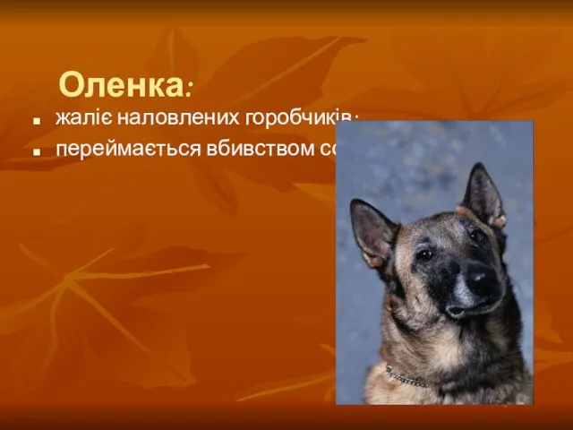 Оленка: жаліє наловлених горобчиків; переймається вбивством собаки