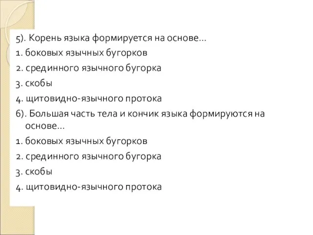 5). Корень языка формируется на основе… 1. боковых язычных бугорков 2.