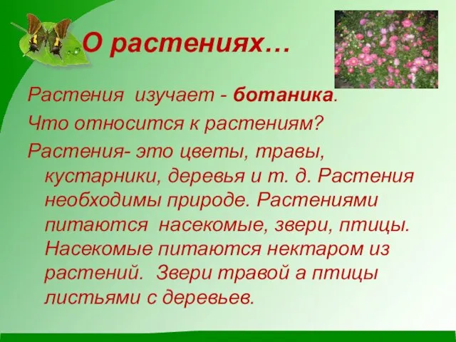 О растениях… Растения изучает - ботаника. Что относится к растениям? Растения-