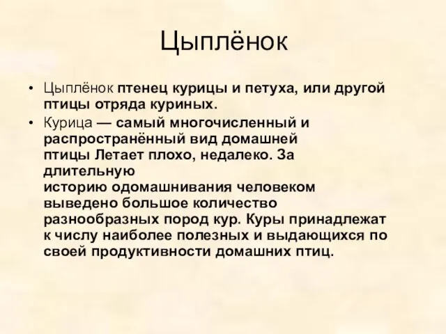 Цыплёнок Цыплёнок птенец курицы и петуха, или другой птицы отряда куриных.