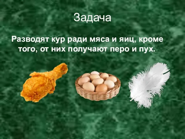 Задача Разводят кур ради мяса и яиц, кроме того, от них получают перо и пух.