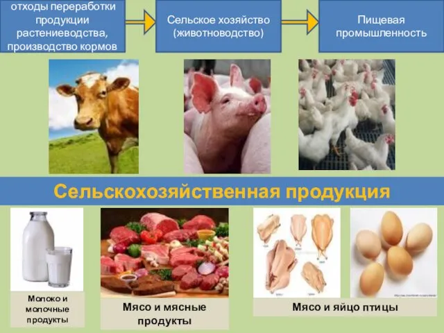 отходы переработки продукции растениеводства, производство кормов Сельское хозяйство (животноводство) Пищевая промышленность