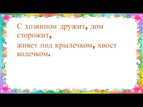 С хозяином дружит, дом сторожит, живет под крылечком, хвост колечком.