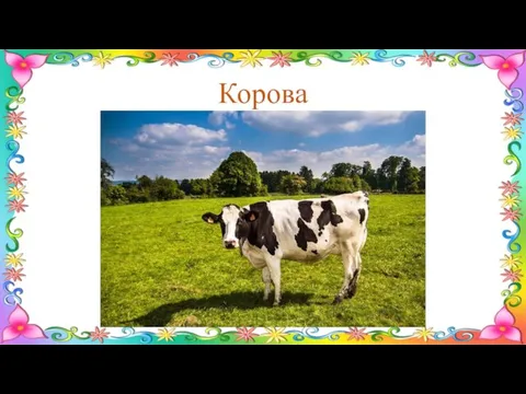 Корова