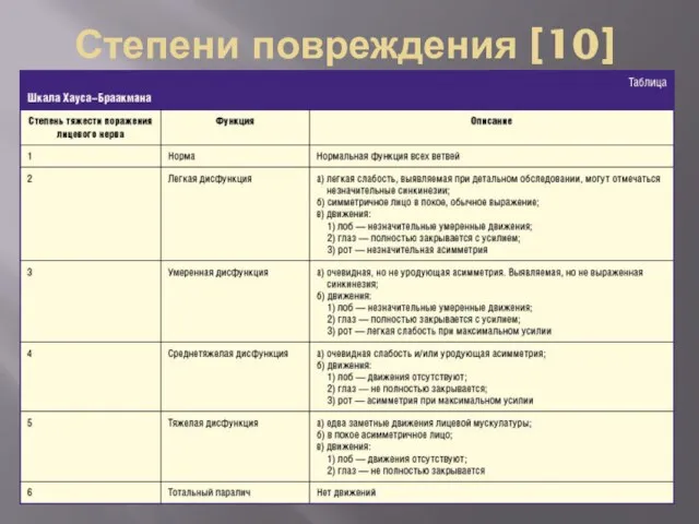 Степени повреждения [10]