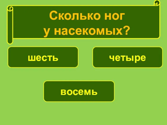 шесть восемь четыре Сколько ног у насекомых?