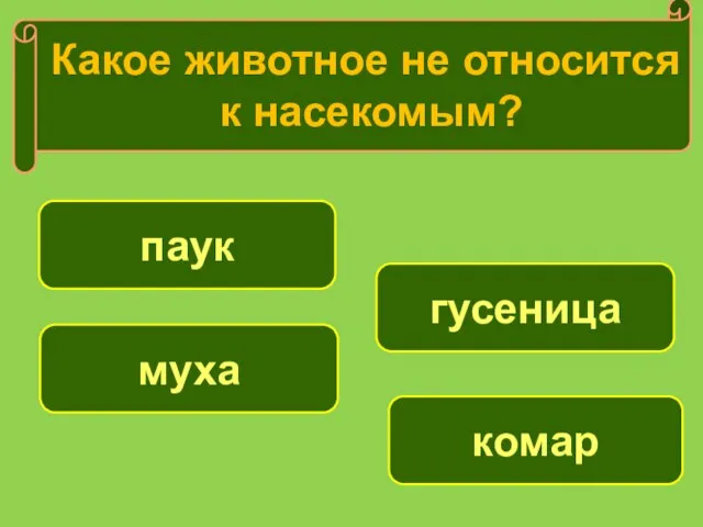 паук муха комар Какое животное не относится к насекомым? гусеница