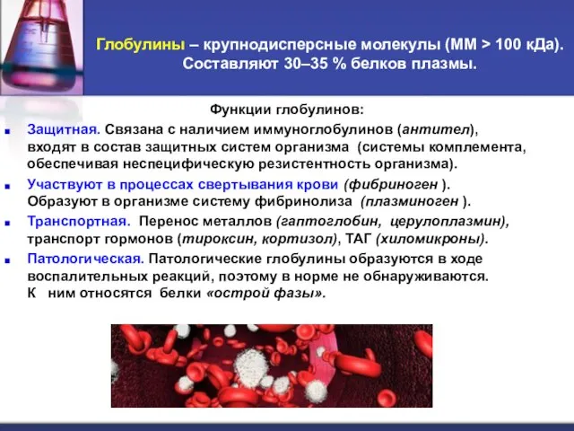 Глобулины – крупнодисперсные молекулы (ММ > 100 кДа). Составляют 30–35 %