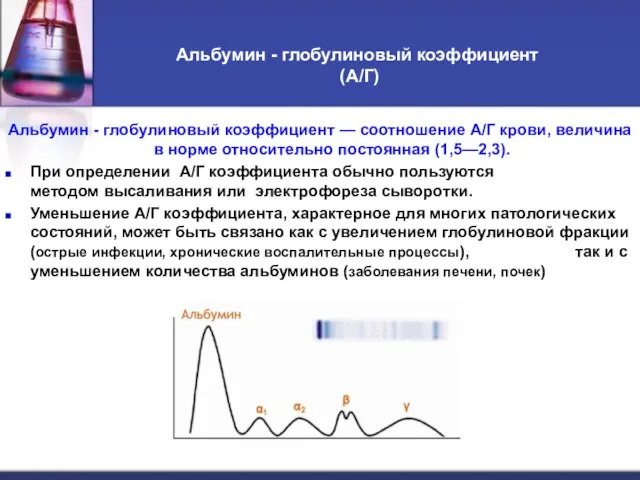 Альбумин - глобулиновый коэффициент (А/Г) Альбумин - глобулиновый коэффициент — соотношение