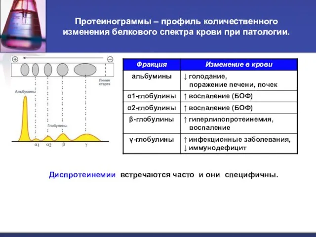 Протеинограммы – профиль количественного изменения белкового спектра крови при патологии. Диспротеинемии встречаются часто и они специфичны.