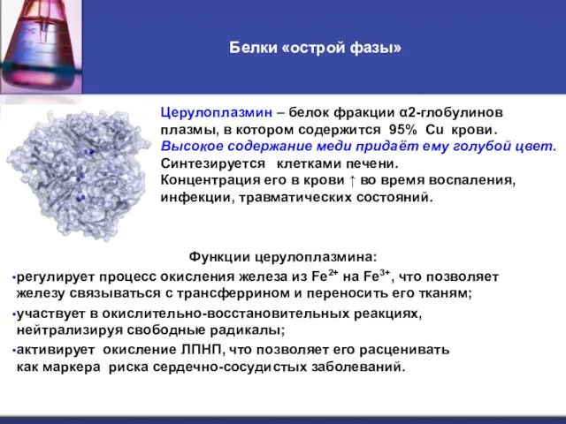 Белки «острой фазы» Функции церулоплазмина: регулирует процесс окисления железа из Fe2+