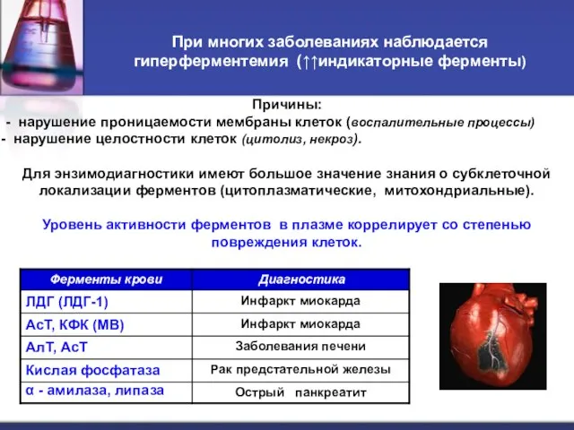 При многих заболеваниях наблюдается гиперферментемия (↑↑индикаторные ферменты) Причины: - нарушение проницаемости