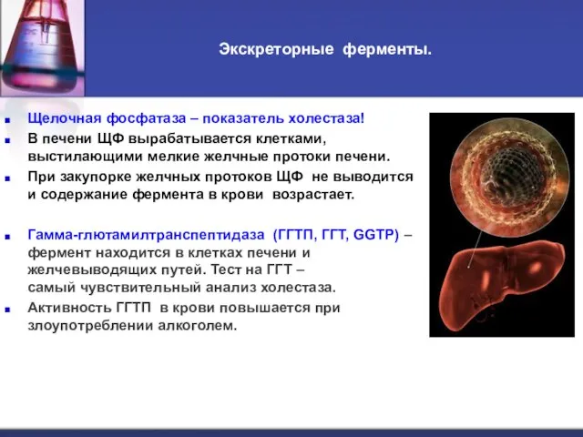 Экскреторные ферменты. Щелочная фосфатаза – показатель холестаза! В печени ЩФ вырабатывается