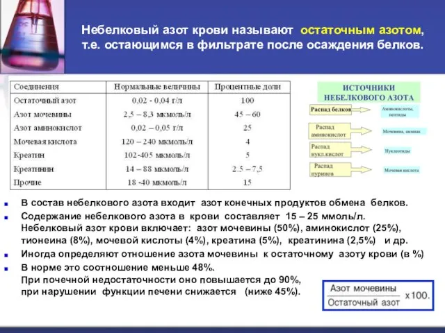 Небелковый азот крови называют остаточным азотом, т.е. остающимся в фильтрате после