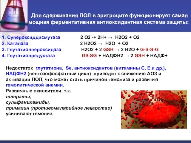 Для сдерживания ПОЛ в эритроците функционирует самая мощная ферментативная антиоксидантная система