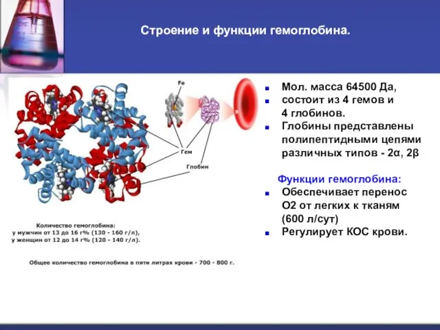 Строение и функции гемоглобина. Мол. масса 64500 Да, состоит из 4