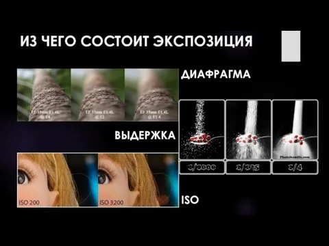 ИЗ ЧЕГО СОСТОИТ ЭКСПОЗИЦИЯ ДИАФРАГМА ВЫДЕРЖКА ISO