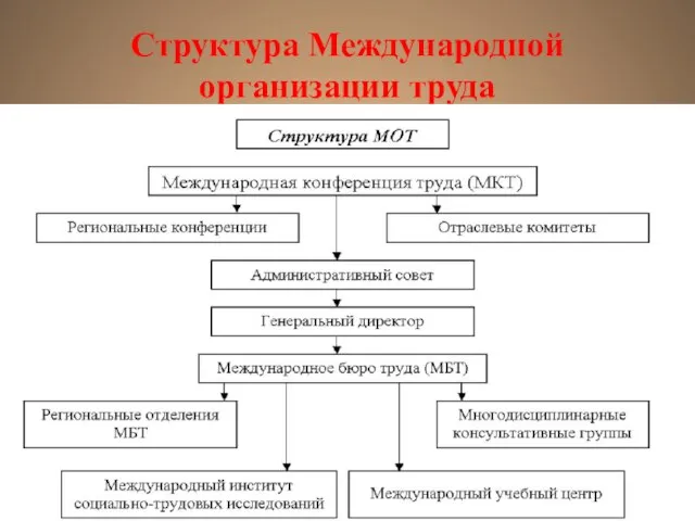 Структура Международной организации труда