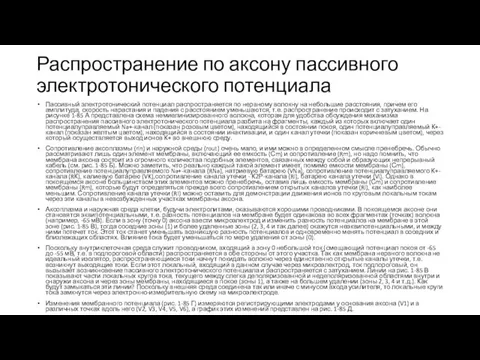 Распространение по аксону пассивного электротонического потенциала Пассивный электротонический потенциал распространяется по