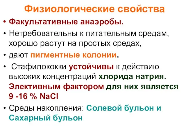 Физиологические свойства Факультативные анаэробы. Нетребовательны к питательным средам, хорошо растут на