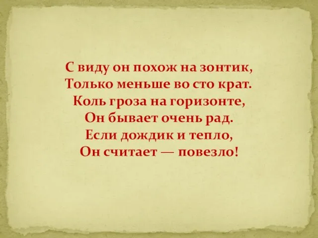 С виду он похож на зонтик, Только меньше во сто крат.