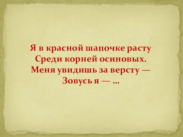 Я в красной шапочке расту Среди корней осиновых. Меня увидишь за