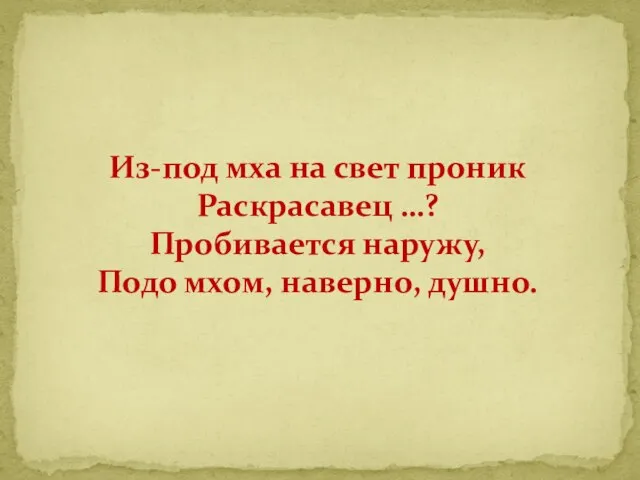 Из-под мха на свет проник Раскрасавец …? Пробивается наружу, Подо мхом, наверно, душно.