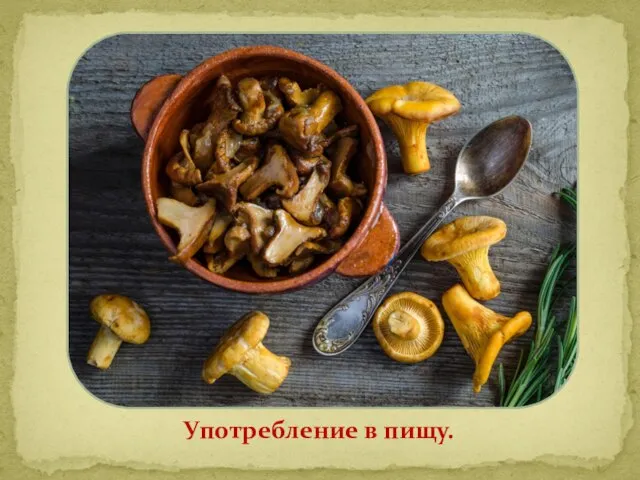 Употребление в пищу.