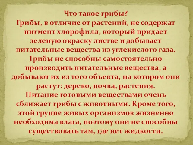 Что такое грибы? Грибы, в отличие от растений, не содержат пигмент