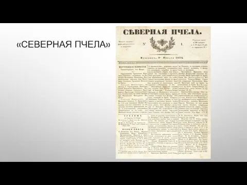 «СЕВЕРНАЯ ПЧЕЛА»