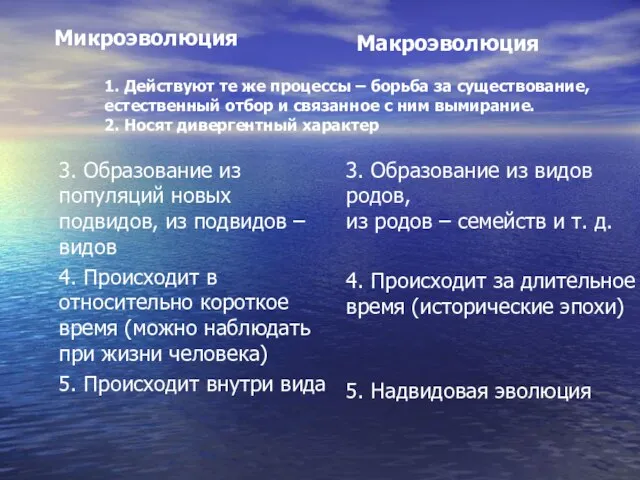 1. Действуют те же процессы – борьба за существование, естественный отбор