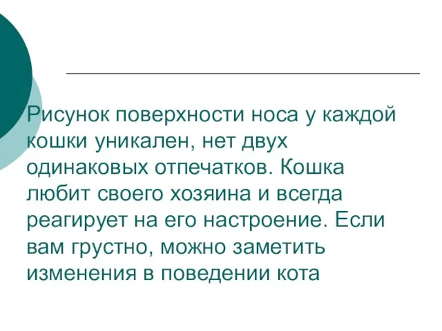 Рисунок поверхности носа у каждой кошки уникален, нет двух одинаковых отпечатков.