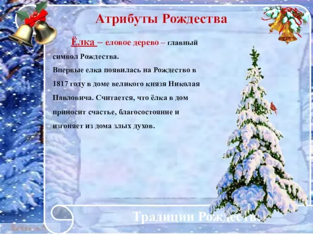 * Традиции Рождества Атрибуты Рождества Ёлка – еловое дерево – главный