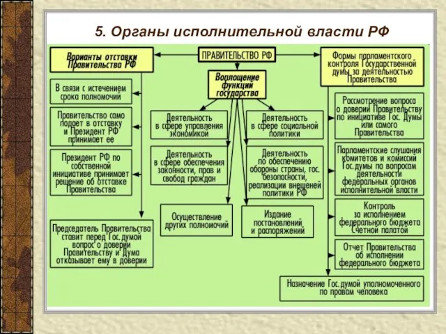 5. Органы исполнительной власти РФ