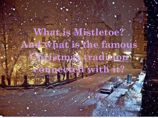 What is Mistletoe? And what is the famous Christmas tradition connected with it?