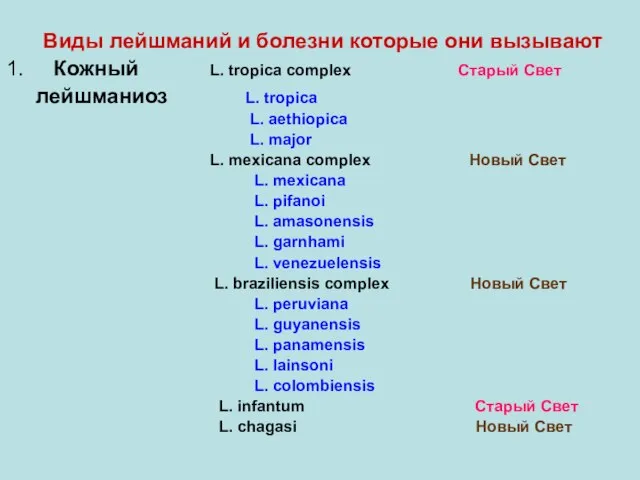 Виды лейшманий и болезни которые они вызывают 1. Кожный L. tropica