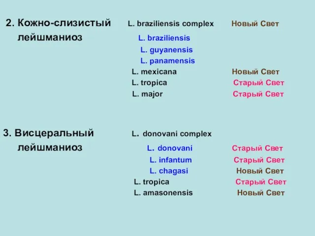 2. Кожно-слизистый L. braziliensis complex Новый Свет лейшманиоз L. braziliensis L.