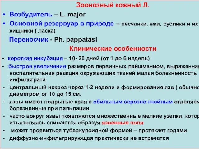 Зоонозный кожный Л. Возбудитель – L. major Основной резервуар в природе