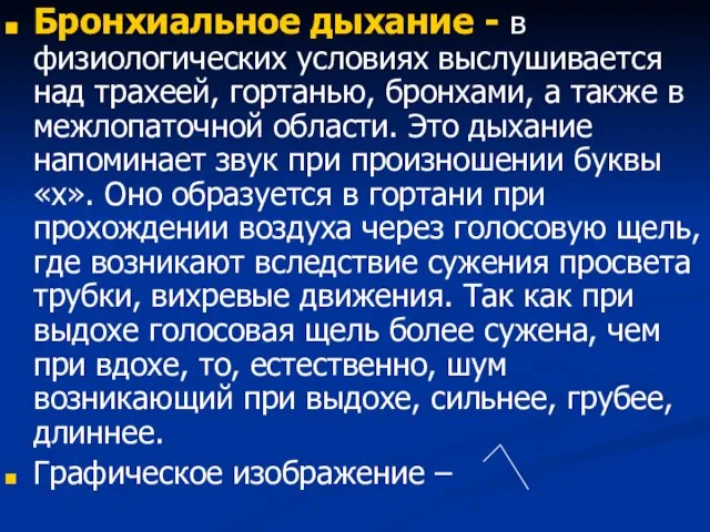 Бронхиальное дыхание - в физиологических условиях выслушивается над трахеей, гортанью, бронхами,