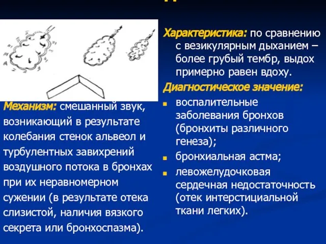 Жесткое дыхание Механизм: смешанный звук, возникающий в результате колебания стенок альвеол