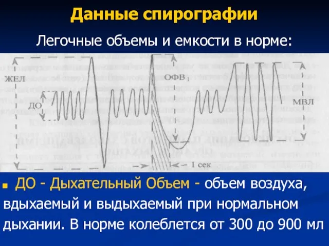 Данные спирографии Легочные объемы и емкости в норме: ДО - Дыхательный