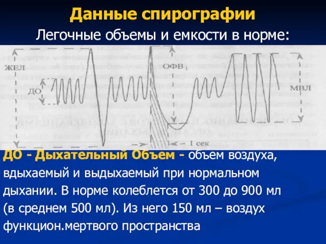 Данные спирографии Легочные объемы и емкости в норме: ДО - Дыхательный