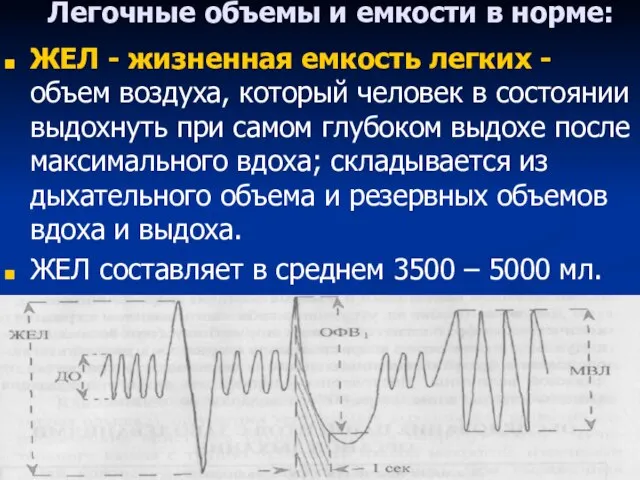 Легочные объемы и емкости в норме: ЖЕЛ - жизненная емкость легких