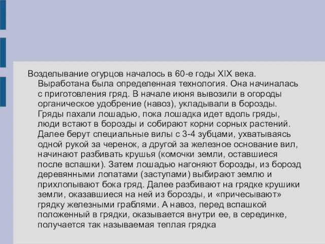 Возделывание огурцов началось в 60-е годы XIX века. Выработана была определенная