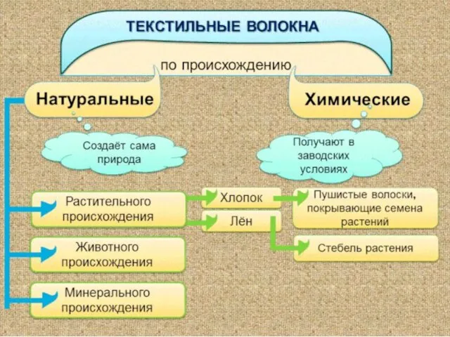 Происхождение волокон ХИМИЧЕСКИЕ НАТУРАЛЬНЫЕ